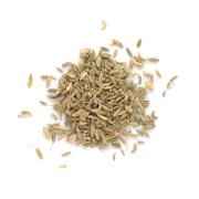 SANTOS FENNEL LUCKNOWI