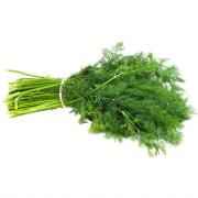 BABY DILL