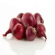 ONION PEARLED