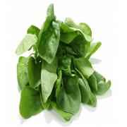 SPINICH BAG