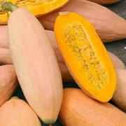 BANANA SQUASH