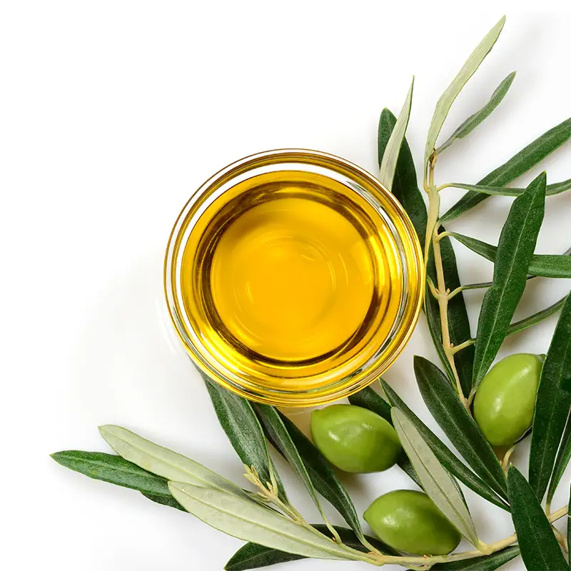 OLIVE OIL ORGANIC