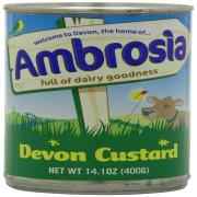 DEVON CUSTARD