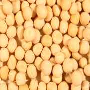 SHRINATH YELLOW PEAS