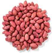 SHRINATH PEANUT RED