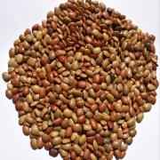 SHRINATH HORSE GRAM