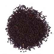 SHRINATH MUSTARD SEED