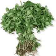 METHI