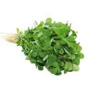 CABBAGE GREEN
