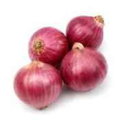 ONION RED