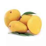 BEGANPALLI MANGO