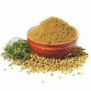 DWARKA CORIANDER PWR