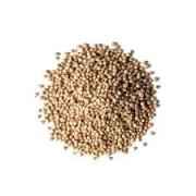VT CORIANDER SEEDS