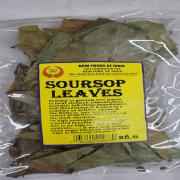 Soursop Leaves
