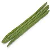DRUMSTICK