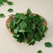 Gongura Leaves