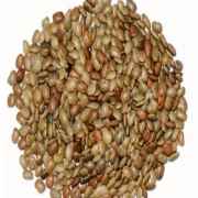 Dhanraj Horse Gram