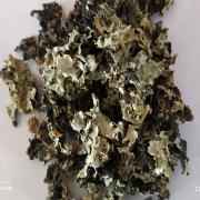 RT Daggar Phool