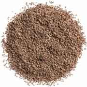 Maa Celery Seed