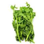 Pui Saag
