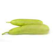 LONG SQUASH