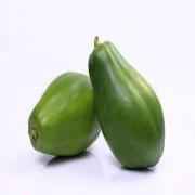 GREEN PAPAYA