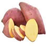 SWEET POTATO