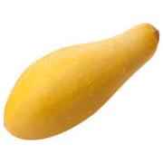 Summer Squash