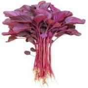 Red Saag