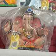 Ganesh Idol 6