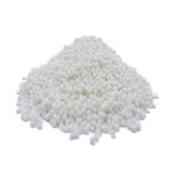 SWAD Sabudana Small