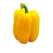 Yellow Pepper