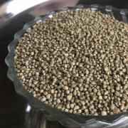 Parboiled Pearl Millet (Kambu)