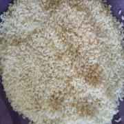 Idly Rice (IR 20)