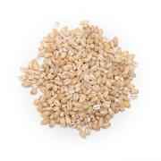 Nirav Pearl Barley