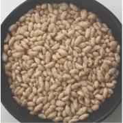 Swad Bajri Mamra