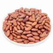 Asli Light Kidney Beans