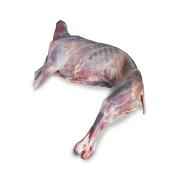 GOAT   Whole Baby Goat