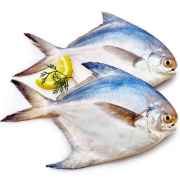 FISH   Pomfret Whole