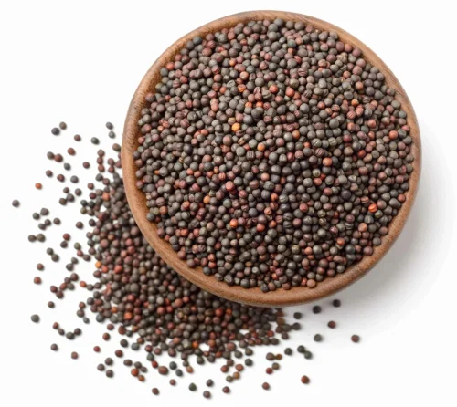 Ariana Mustard Seeds