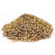 Lazzat Fennel