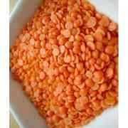 Lazzat Masoor Dal