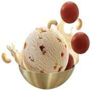 JAMUN ICE CREAM VADILAL