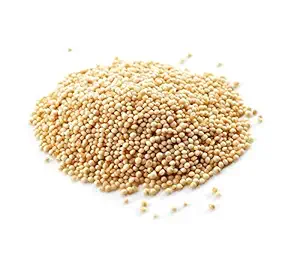 RAJGARO WHOLE
