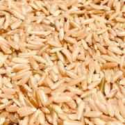 DHARTI BROWN RICE