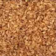 DHARTI MATTA RICE