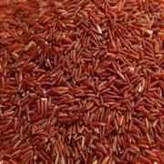 DHARTI RED RICE
