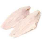 Fish Catfish