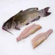 Fish Catfish Fillet