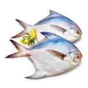 Whole Pomfret